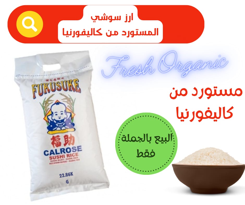 WhatsApp Image 2026-02-16 at 20.32.17