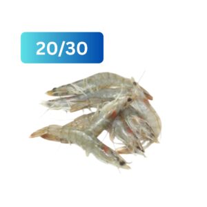 crevettes-grises-2030-1kg