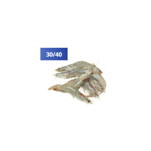 crevettes-grises-3040-1kg