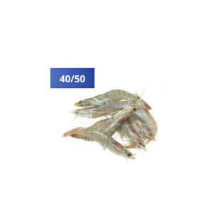 crevettes-grises-4050-1kg