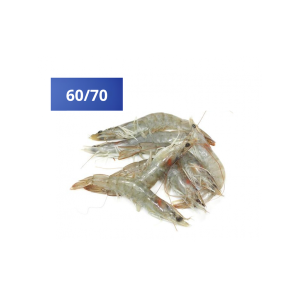 crevettes-grises-6070-1kg